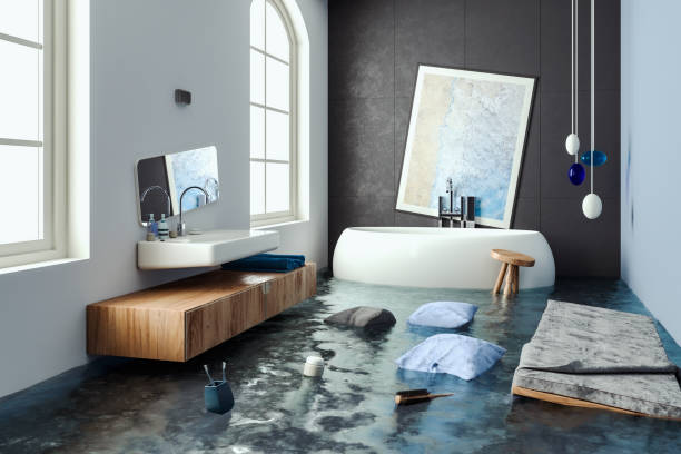Best Flood restoration services  in Rochelle, IL