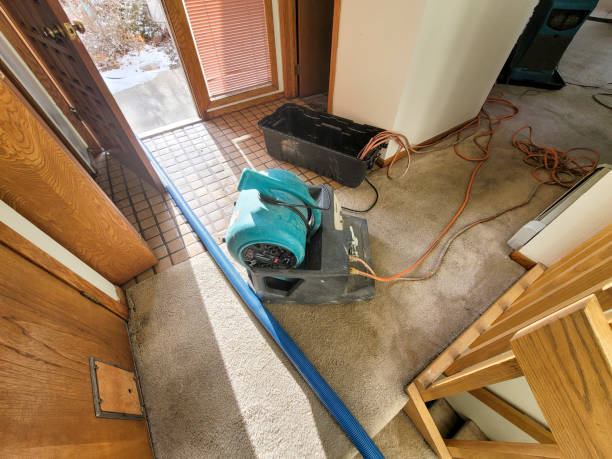 Fire Damage Restoration in Rochelle, IL