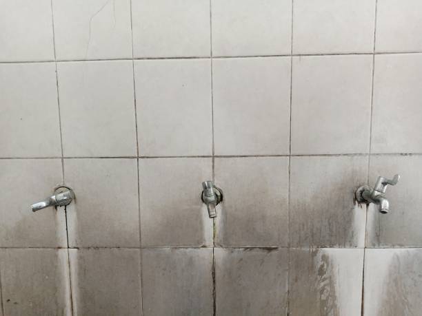 Best Professional water damage repair  in Rochelle, IL