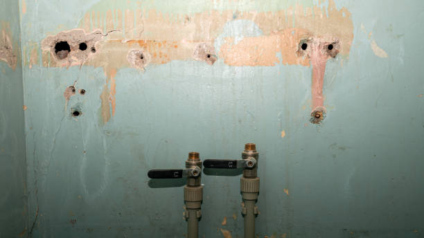 Best Water damage restoration near me  in Rochelle, IL