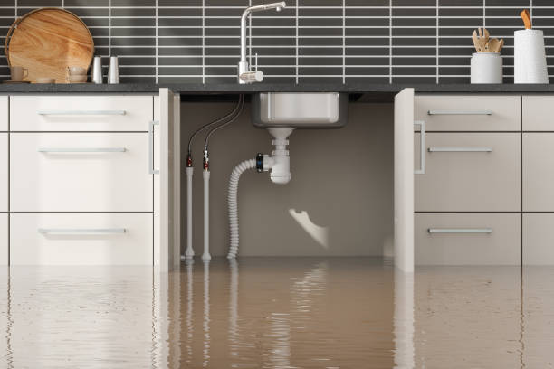 Best Ceiling water damage repair  in Rochelle, IL