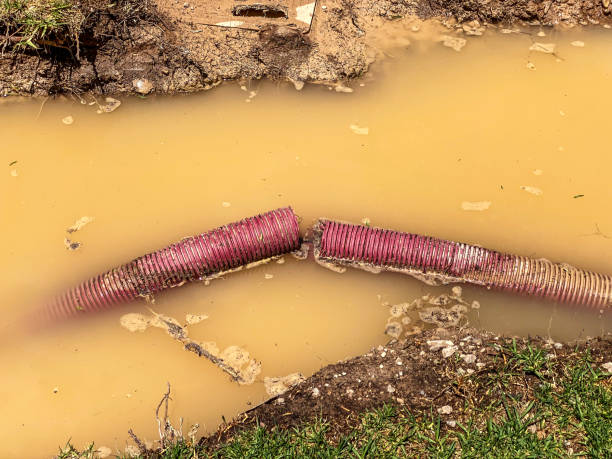 Rochelle, IL Water damage restoration Company