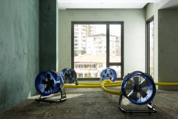 Best Commercial water damage restoration  in Rochelle, IL