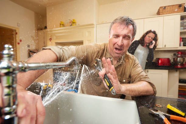Best Basement water damage restoration  in Rochelle, IL